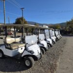 Golf Cart (1)